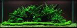Open Album 2_273.jpg