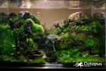 img_4046_t1.jpg
