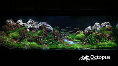 Mountain-river 600l