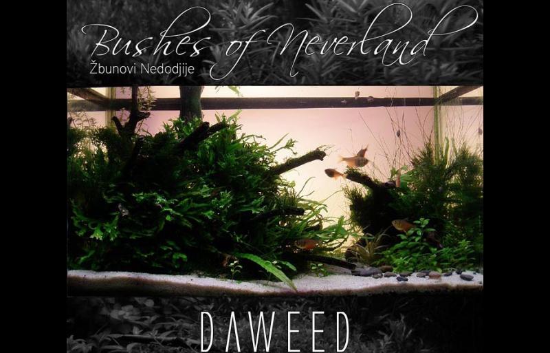 Bushes of Neverland