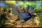dsc04598a800_t1.jpg
