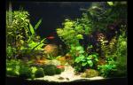 img_6448acs_t1.jpg