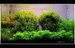dscf2302ress_t1.jpg