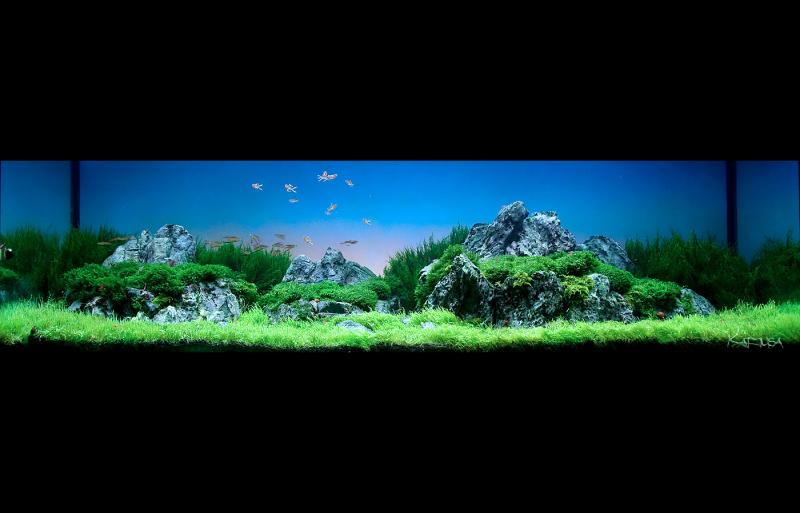 Meadow 360l